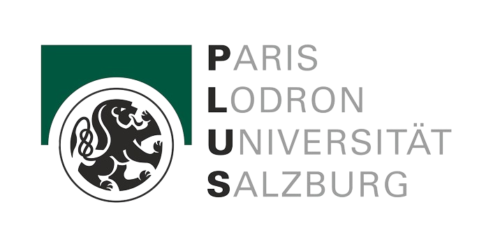 PLUS Logo